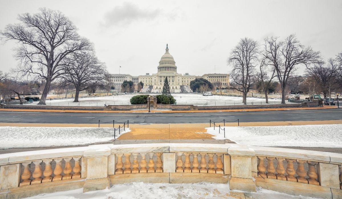 Unexpected Winter Getaway in Washington DC Born Free Fare Buzz Blog