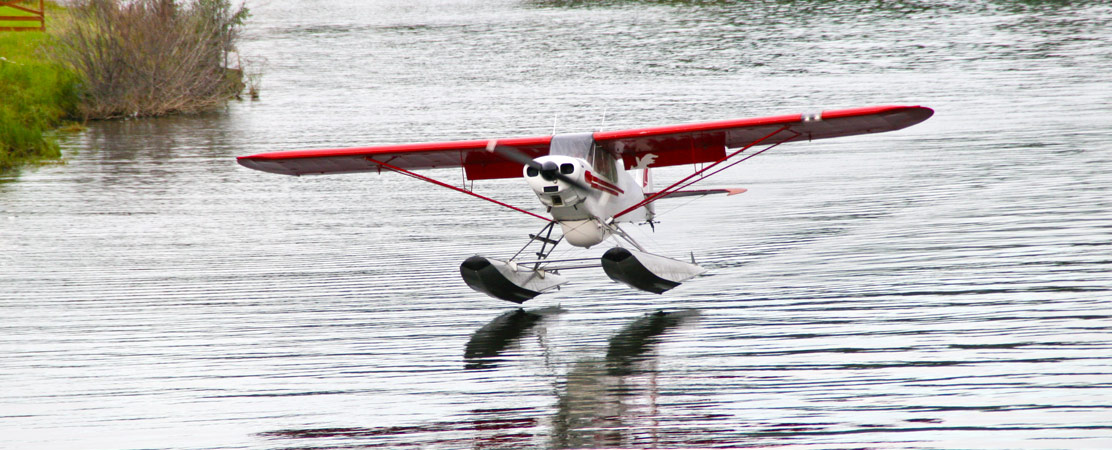 seaplane, Fare Buzz