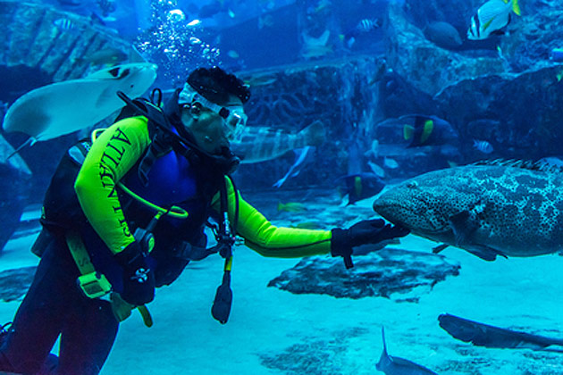 Enjoy under Water World With Fare Buzz